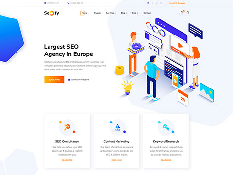 Seofy – Digital & Marketing WordPress Theme